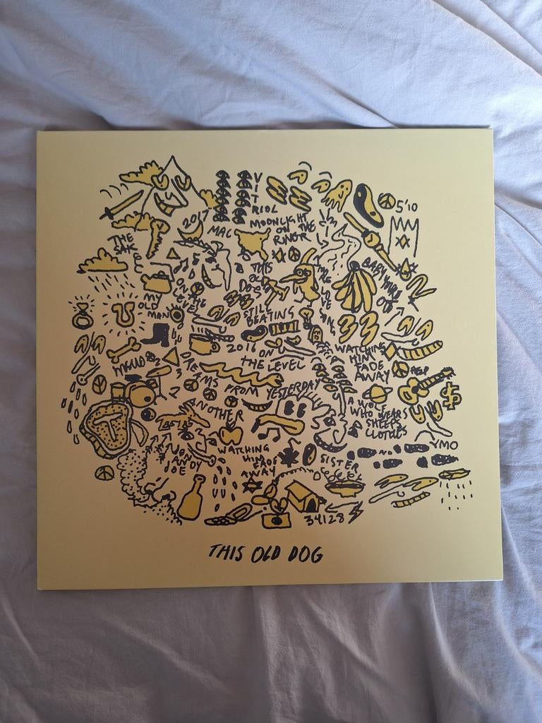 Mac DeMarco & The Strokes Vinyl Platen, Ophalen, 2000 tot heden, Zo goed als nieuw, 12 inch