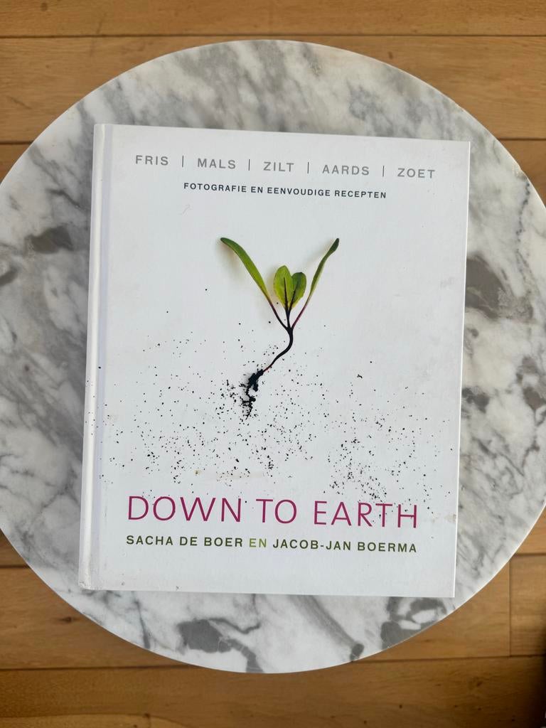 Down to Earth kookboek - Jacob-Jan Boerma, Voorgerechten en Soepen, Ophalen of Verzenden, Zo goed als nieuw, Gezond koken