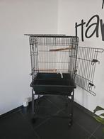 Vogelkooi grotere vogels, papagaai achtige  etc., Ophalen, Metaal, Vogelkooi