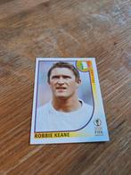 Panini WK 2002, Ophalen of Verzenden, Zo goed als nieuw, Sticker