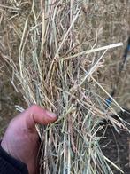 hooi grote balen met analyse, Dieren en Toebehoren, Dierenvoeding, Ophalen of Verzenden, Vee