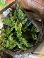 Neppe kerstboom, Diversen, Kerst, Ophalen, Gebruikt