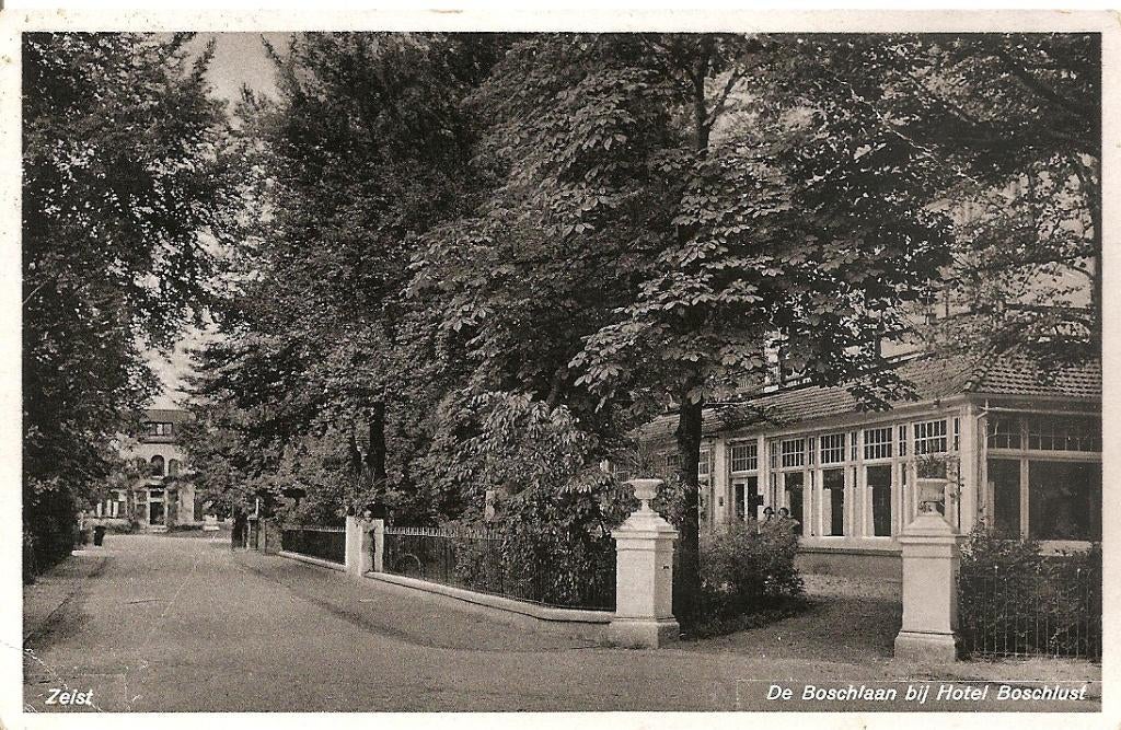 Zeist, De Boschlaan bij Hotel Boschlust, Ophalen of Verzenden, 1940 tot 1960, Ongelopen, Utrecht