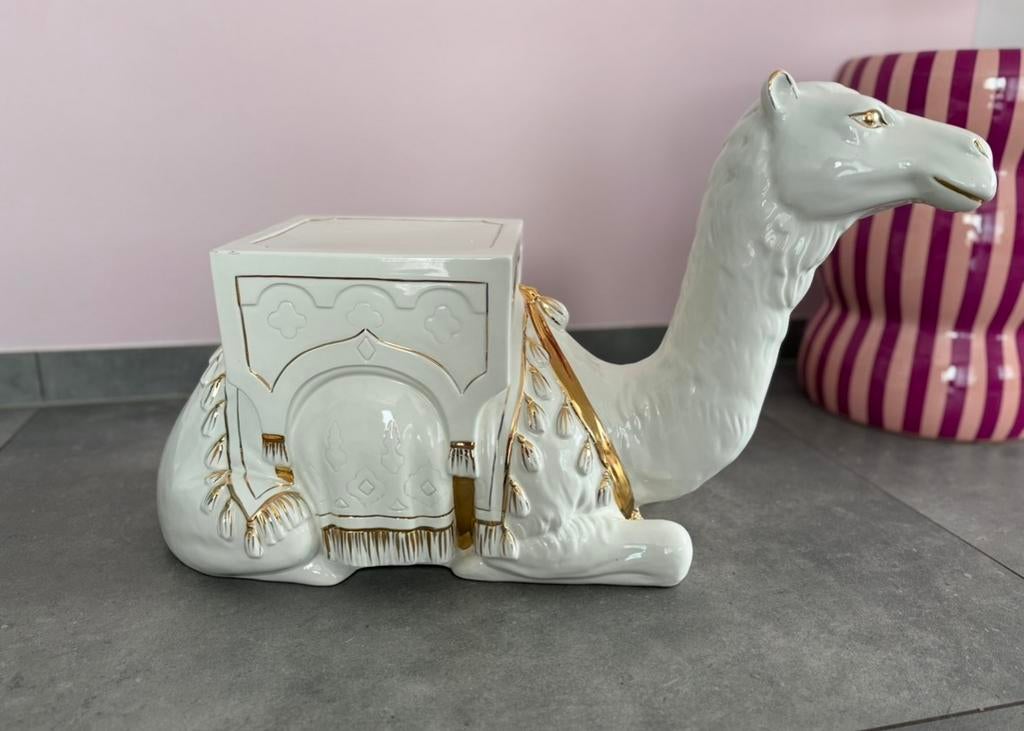 Planten tafel kameel, Ophalen, Gebruikt, Dier