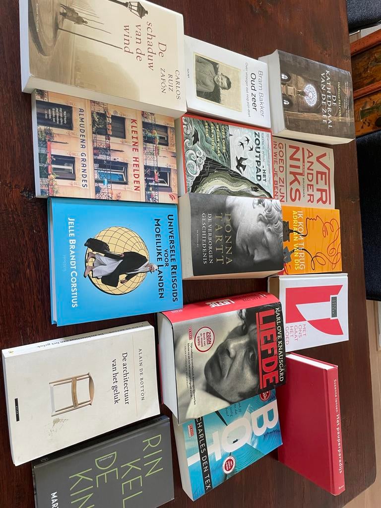 Diverse boeken: romans, non-fictie en meer, Boeken, Ophalen of Verzenden, Gelezen, Nederland