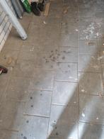 Beton tegels GRATIS, Tuin en Terras, Tegels en Klinkers, Ophalen, Gebruikt, Beton, Terrastegels