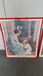 Twee vintage schoolplaten, Antiek en Kunst, Ophalen of Verzenden, Natuur en Biologie