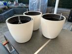 3 stuks Elho witte grote bloempot, Ophalen, Zo goed als nieuw, Rond, Kunststof
