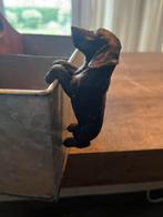 Leuke teckel plantenhanger zwart, Ophalen of Verzenden