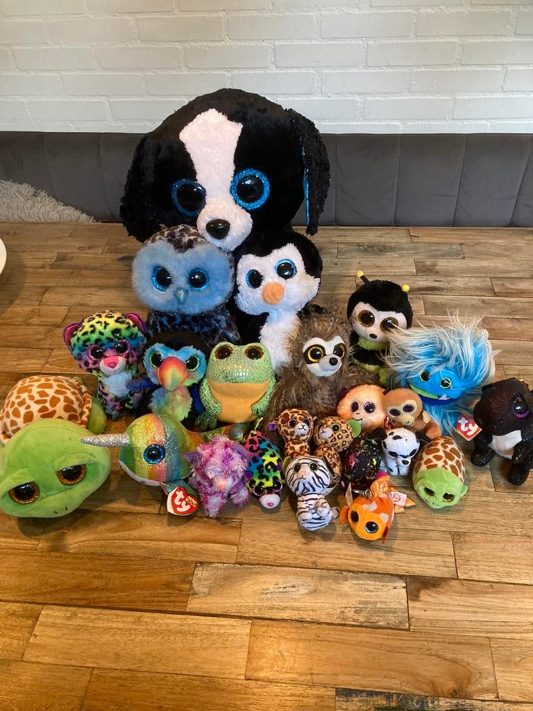 Ty Knuffels, Ophalen of Verzenden, Zo goed als nieuw, Overige typen