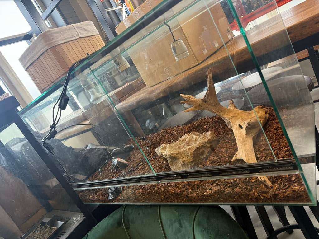 Terrarium, Dieren en Toebehoren, Reptielen en Amfibieën | Toebehoren, Ophalen of Verzenden, Terrarium of Paludarium