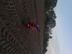 zip 2T, Ophalen, Tweetakt, Maximaal 45 km/u, Zip