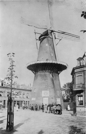 (386-266-009) Dordrecht Molen de Maagd beschikbaar voor biedingen