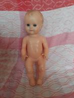 Schildpad popje, 28 cm, Ophalen of Verzenden, Gebruikt, Pop