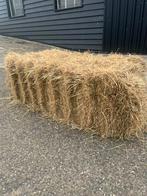 Kleine hooibalen te koop, Dieren en Toebehoren, Ophalen