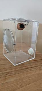 Terrarium voor springspin, Dieren en Toebehoren, Insecten en Spinnen