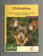 Chihuahua, Ophalen of Verzenden, Nieuw, Honden