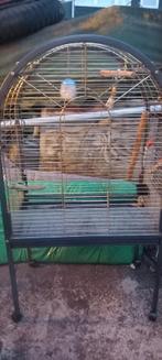 Vogel kooi, Dieren en Toebehoren, Vogels | Hokken en Kooien, Ophalen of Verzenden