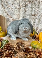 Koppel konijnen, Dieren en Toebehoren, Konijnen, Meerdere dieren, Hangoor