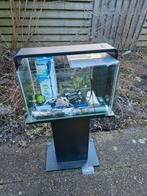 Mooie aquarium compleet te koop, Dieren en Toebehoren, Ophalen of Verzenden, Zo goed als nieuw, Leeg aquarium