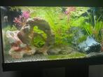 Juwel Aquarium met meubel 61x31x37 cm Zwart, Dieren en Toebehoren, Vissen | Aquaria en Toebehoren, Ophalen, Gebruikt, Leeg aquarium