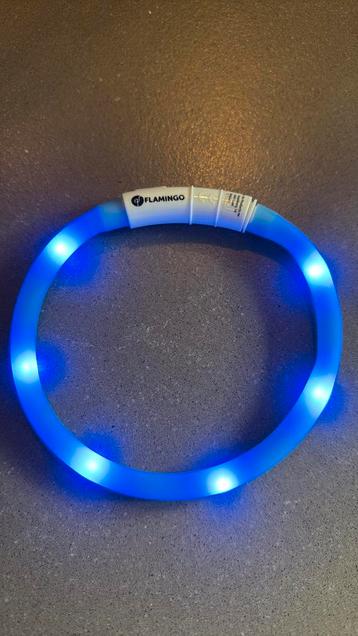 Halsband hond, veiligheidshalsband beschikbaar voor biedingen