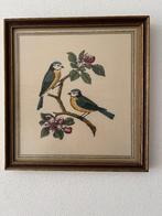 Zes ingelijste oude vogelprenten, Antiek en Kunst, Ophalen of Verzenden