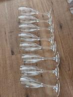 8x onbreekbare champagne glazen, Ophalen of Verzenden, Nieuw