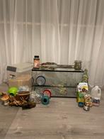 Hamster huis met vele extra’s, Dieren en Toebehoren, Kooi, Gebruikt, Minder dan 75 cm, Hamster