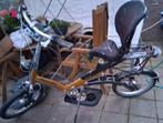 Gazelle Easy Glider zit / lig fiets zgzn, Fietsen en Brommers, Fietsen | Ligfietsen, Ophalen, Zo goed als nieuw, Overige merken