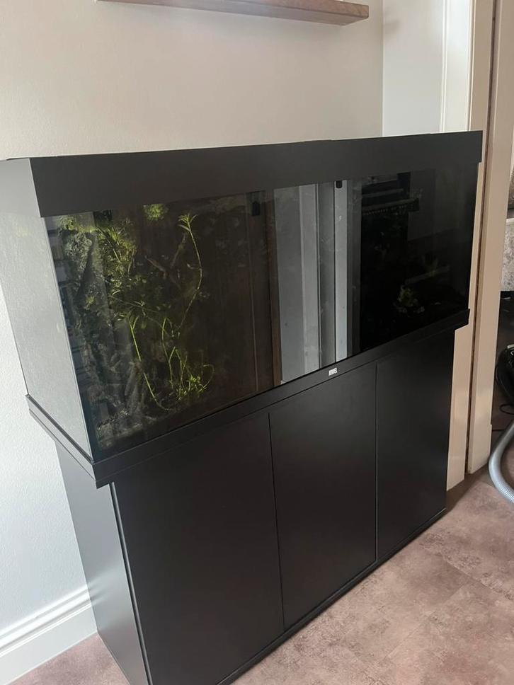 Aquarium met toebehoren juwel 240, Dieren en Toebehoren, Vissen | Aquariumvissen, Vis