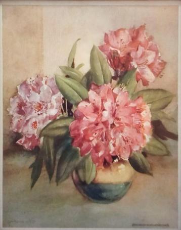 Gezocht: Kalenderplaat Rhododendron - door Jan Popkes vd Zee beschikbaar voor biedingen