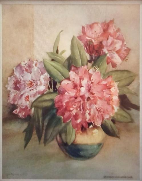 Gezocht: Kalenderplaat Rhododendron - door Jan Popkes vd Zee, Antiek en Kunst, Kunst | Overige Kunst, Ophalen of Verzenden