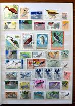 Collectie "Vogels"uit diverse landen,12 volle insteek bladen, Ophalen of Verzenden, Overige landen, Gestempeld