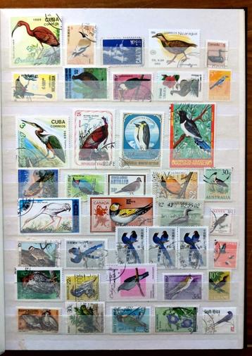 Collectie "Vogels"uit diverse landen,12 volle insteek bladen beschikbaar voor biedingen