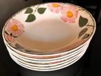 Villeroy & Boch wild Rose Bord 16cm - Set van 6