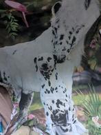 Dekbedovertrek Luka - Penny - Jungle Print, Huis en Inrichting, Dekbedovertrek, Ophalen of Verzenden, Zo goed als nieuw, Overige kleuren