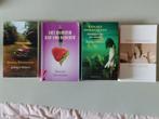 Renate Dorrestein Boeken - 4 Stuks, Ophalen of Verzenden, Gelezen, Renate Dorrestein, Nederland