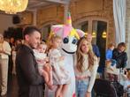 mascottes op uw feestje, Hobby en Vrije tijd, Feestartikelen | Verhuur, Ophalen, Zo goed als nieuw, Overige