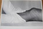 Foto van mannelijk naakt - Frederice van Faassen - 1982, Verzenden, 1980 tot heden, Ongelopen, Overige thema's