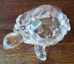 Schildpad. Glas/kristal. 18/15.5/8 cm., Ophalen, Zo goed als nieuw, Reptiel of Amfibie, Beeldje of Figuurtje