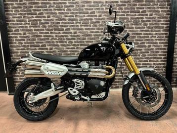Triumph SCRAMBLER 1200 XE DEMO (bj 2025) beschikbaar voor biedingen