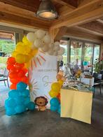 Backdrop babyshower here comes the son, Hobby en Vrije tijd, Feestartikelen, Ophalen of Verzenden, Zo goed als nieuw, Versiering