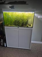 Aqualantis aquarium 100 met meubel, Dieren en Toebehoren, Ophalen, Zo goed als nieuw, Gevuld zoetwateraquarium