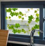 Plakplastic met groene blaadjes motief, Ophalen of Verzenden, Overige soorten, Halfschaduw, Minder dan 100 cm