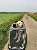 Hondenbuggy Innopet Hercules/hondenfietskar, Dieren en Toebehoren, Ophalen, Zo goed als nieuw