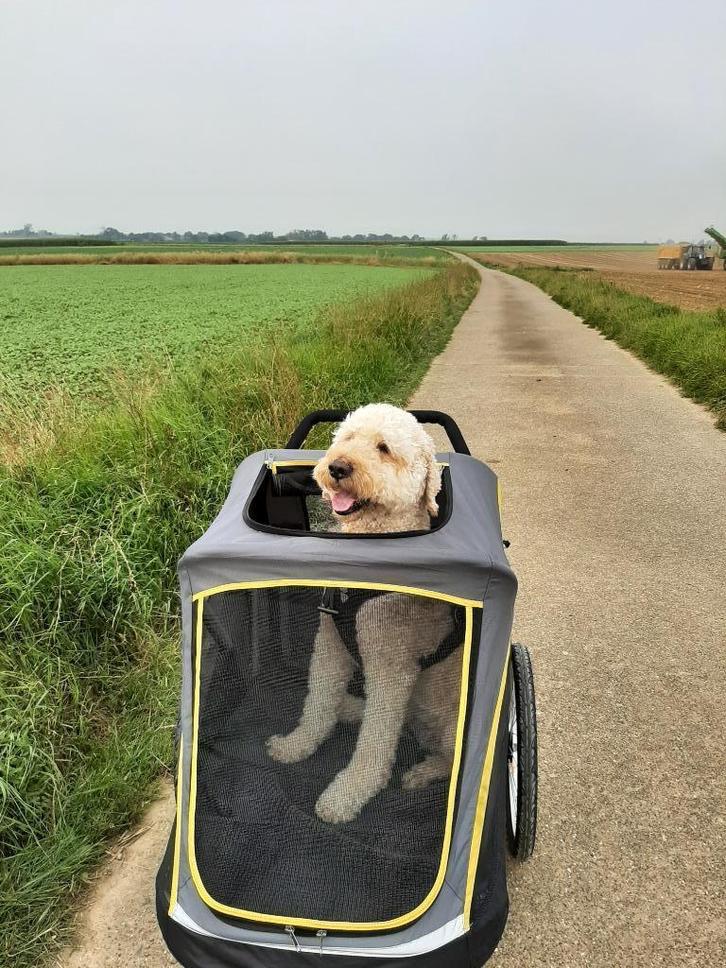 Hondenbuggy Innopet Hercules/hondenfietskar, Dieren en Toebehoren, Honden-accessoires, Zo goed als nieuw, Ophalen