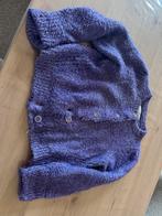 Fabienne Chapot vest maat M, Maat 38/40 (M), Paars, Ophalen of Verzenden, Zo goed als nieuw