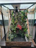 Volledig ingericht terrarium met verlichting., Dieren en Toebehoren, Reptielen en Amfibieën | Toebehoren, Ophalen, Gebruikt, Terrarium of Paludarium
