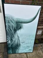 Schilderij schotse hooglander, Ophalen, Gebruikt, Schilderij, 75 cm of meer